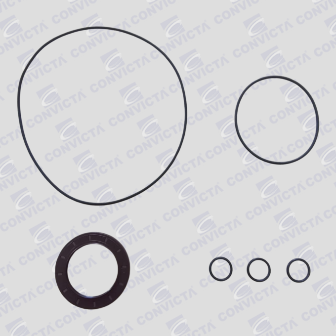 Kit Reparo para Motor PMP Modelo MCL.7203.1