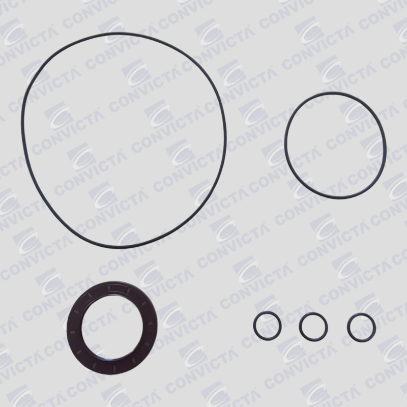 Kit Reparo para Motor PMP Modelo MCL.7203.1