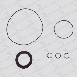 Kit Reparo para Motor PMP Modelo MCL.9003.0 e 9021.0